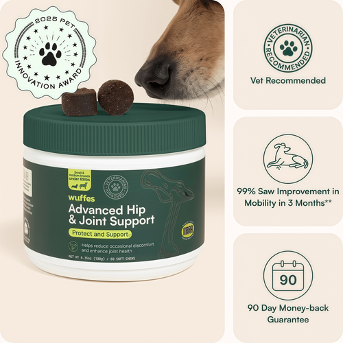 Wuffes Advanced Dog Hip and Joint Supplement with Glucosamine, Chondroitin, Omega 3, MSM, and Green Lipped Mussel, 60 Pork Flavored Chews for Small and Medium Dog Breeds