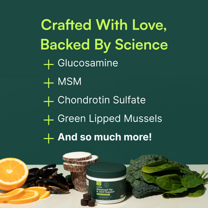 Wuffes Advanced Dog Hip and Joint Supplement with Glucosamine, Chondroitin, Omega 3, MSM, and Green Lipped Mussel, 60 Pork Flavored Chews for Small and Medium Dog Breeds