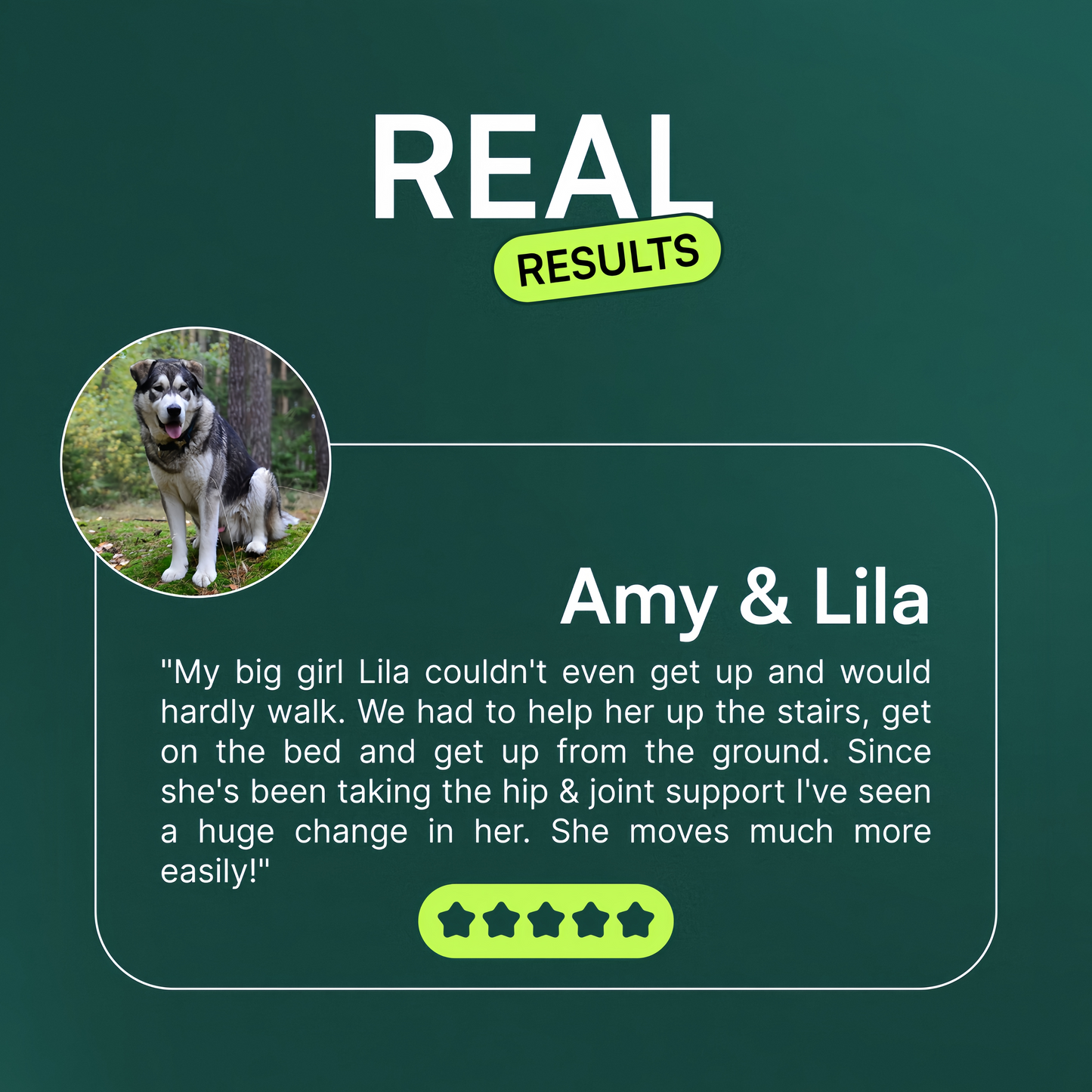 Wuffes Advanced Dog Hip and Joint Supplement with Glucosamine, Chondroitin, Omega 3, MSM, and Green Lipped Mussel, 60 Pork Flavored Chews for Small and Medium Dog Breeds