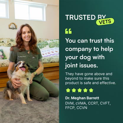 Wuffes Advanced Dog Hip and Joint Supplement with Glucosamine, Chondroitin, Omega 3, MSM, and Green Lipped Mussel, 60 Pork Flavored Chews for Small and Medium Dog Breeds