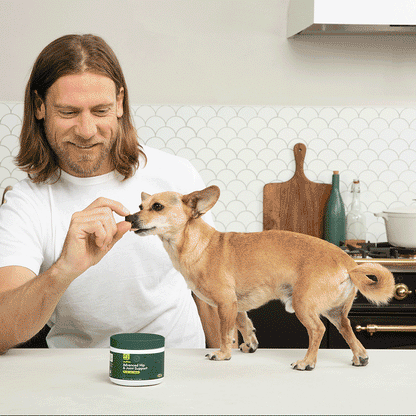 Wuffes Advanced Dog Hip and Joint Supplement with Glucosamine, Chondroitin, Omega 3, MSM, and Green Lipped Mussel, 60 Pork Flavored Chews for Small and Medium Dog Breeds