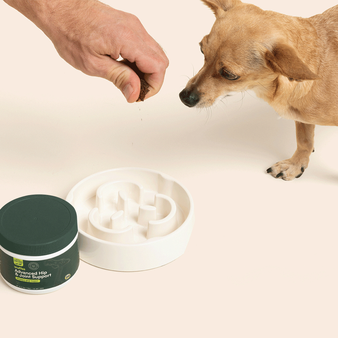 Wuffes Advanced Dog Hip and Joint Supplement with Glucosamine, Chondroitin, Omega 3, MSM, and Green Lipped Mussel, 60 Pork Flavored Chews for Small and Medium Dog Breeds